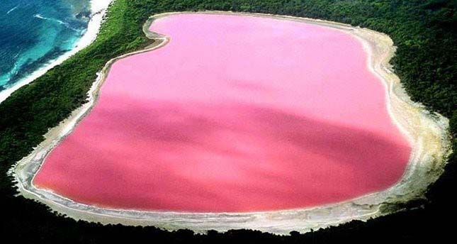 pink-lake-1