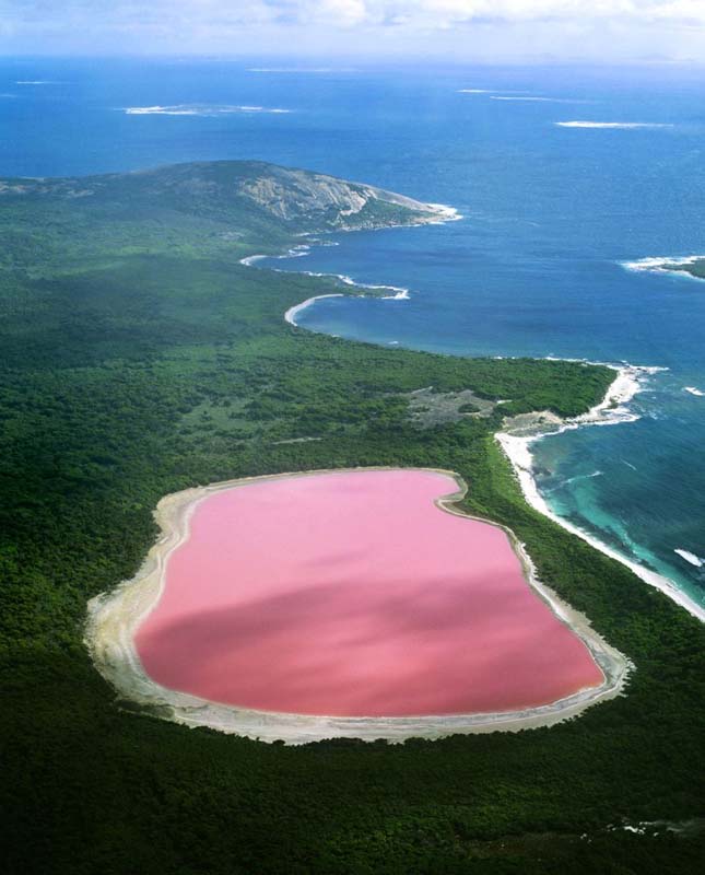 pink-lake-7