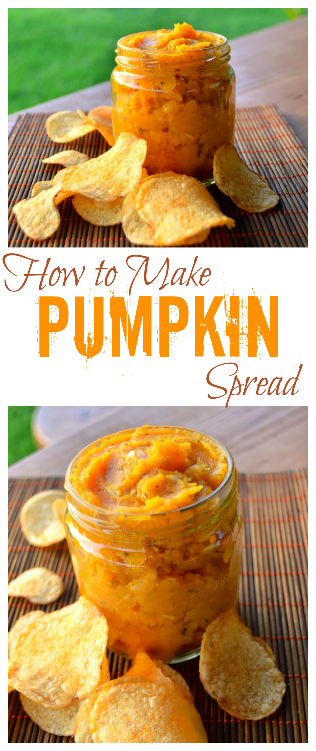 How to Make Pumpkin Spread - Homemade Recipe
