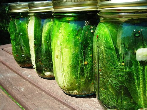 Fermented cucumbers, a summer specialty