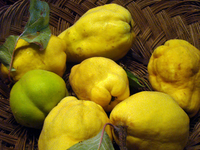 What happens when you eat a single quince?