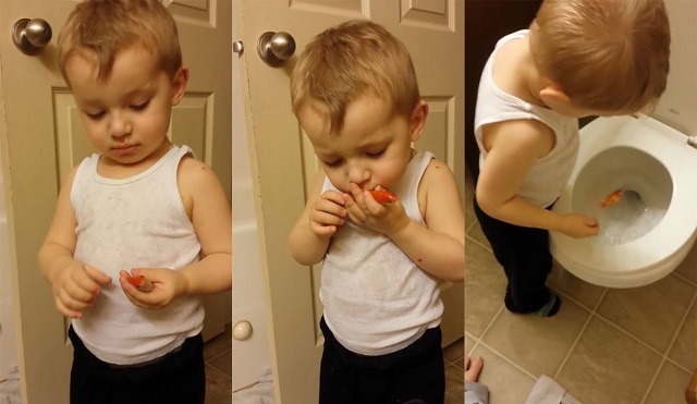 Boy loses best friend. Watch how he says final goodbye to his goldfish