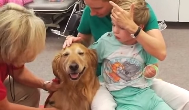 This paralyzed child met a dog. What happened a month later will leave you speechless