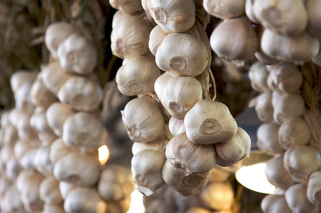 How to preserve garlic for the winter