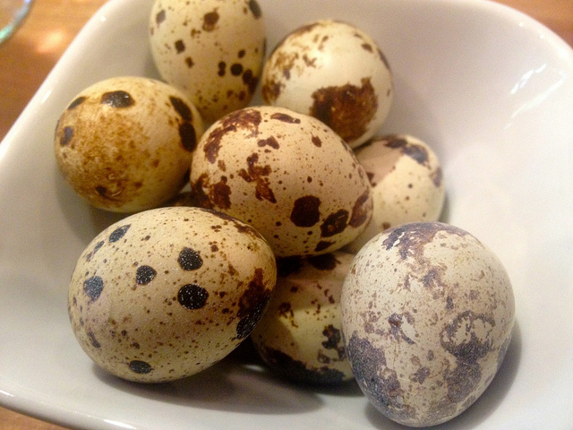 Quail eggs for therapeutic purposes - Find the exact number of eggs that have to be eaten raw
