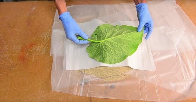 Find the largest leaf you can, and use it to make a beautiful platter