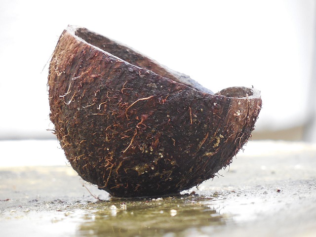 How to use coconut oil in the most efficient way