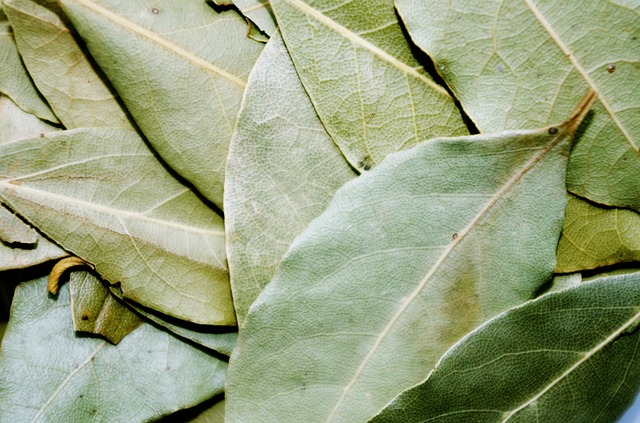 8 unusual ways to use bay leaves outside the kitchen