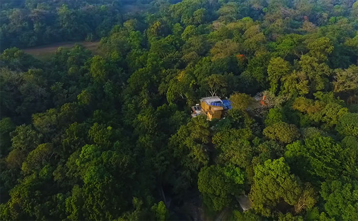 A couple has been replanting the trees of an Indian forest - take a look at the results