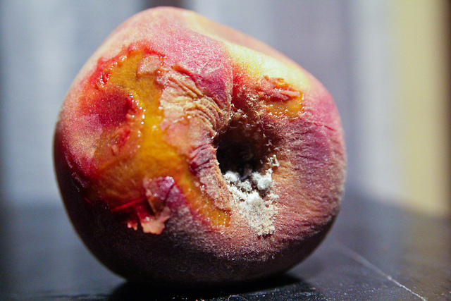 Moldy foods that are still OK to eat, and the ones you should throw out