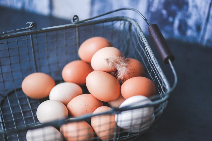 Do you know the difference between brown and white eggs? Now you will find out