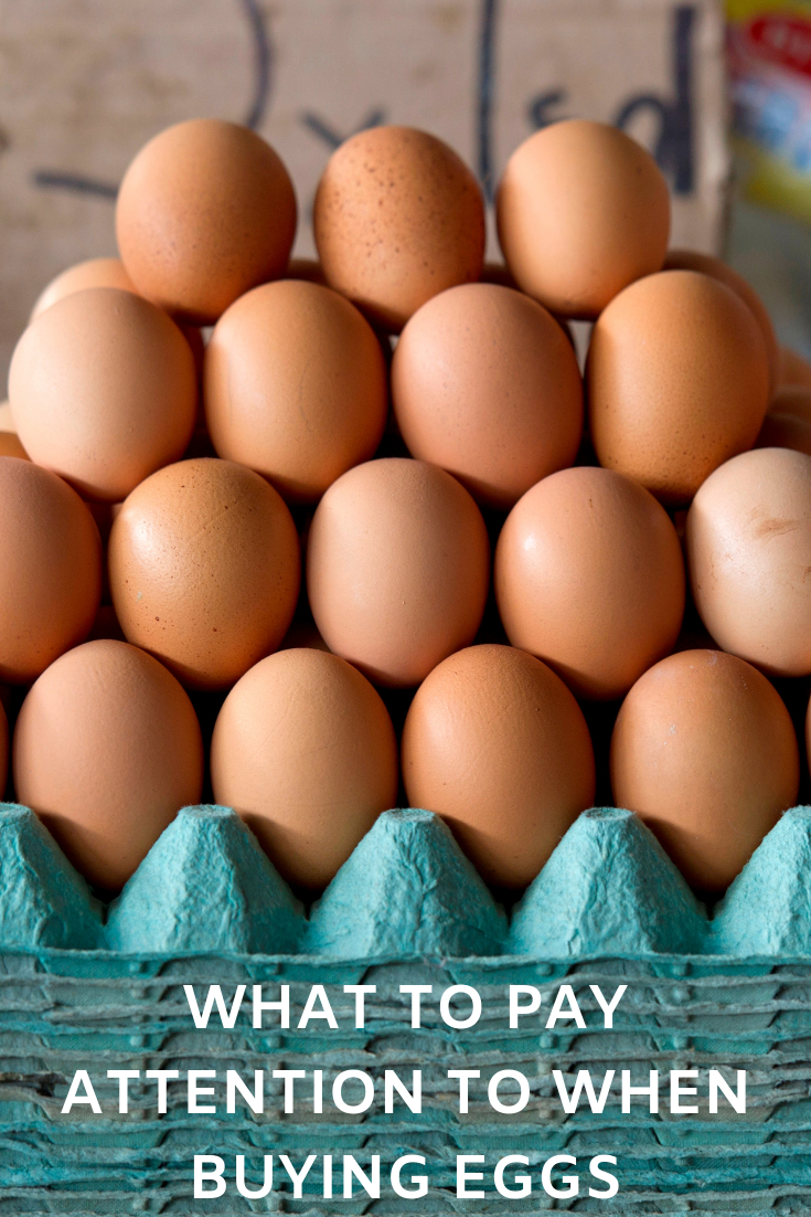 What to pay attention to when buying eggs