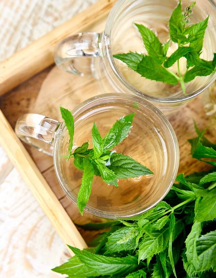 The health benefits of peppermint tea