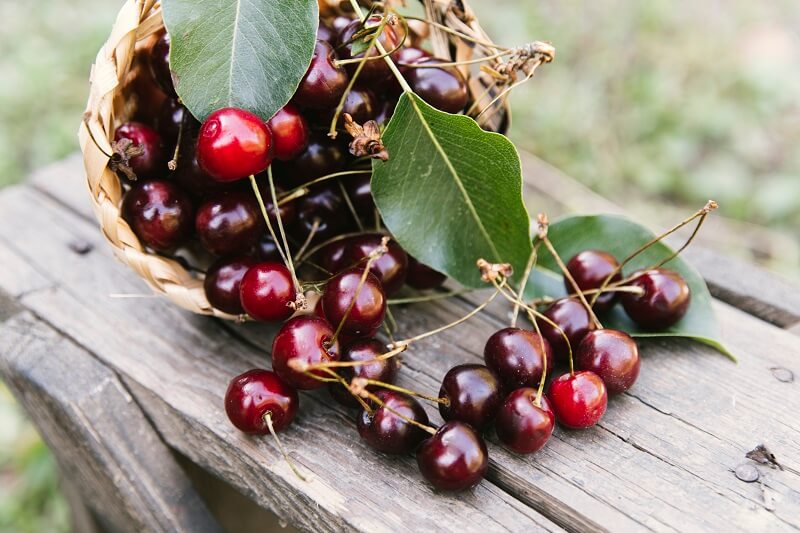 Why it is good to eat cherries - the effects of cherries on the skin and overall health