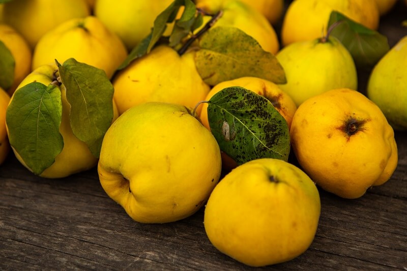 The gold of the cold season: why to eat lots of quince in autumn?