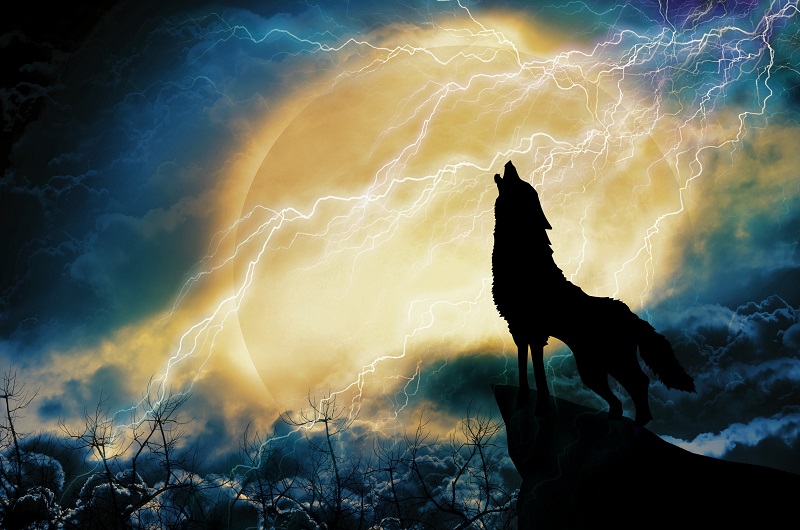 January 18 - The full moon of the Wolf: The astral magnifying glass is turned inward. The cry of the Wolf is within us!