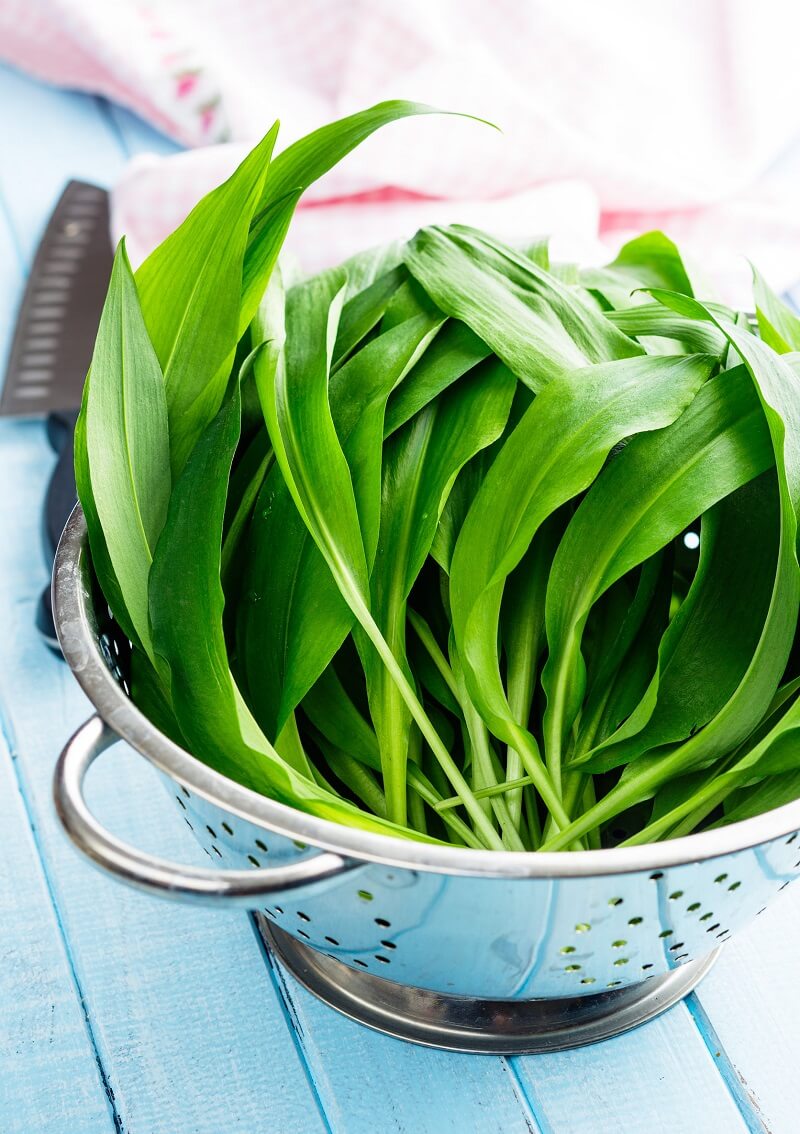 What is bear’s onion good for? This plant is one of the most powerful detoxifiers of spring!