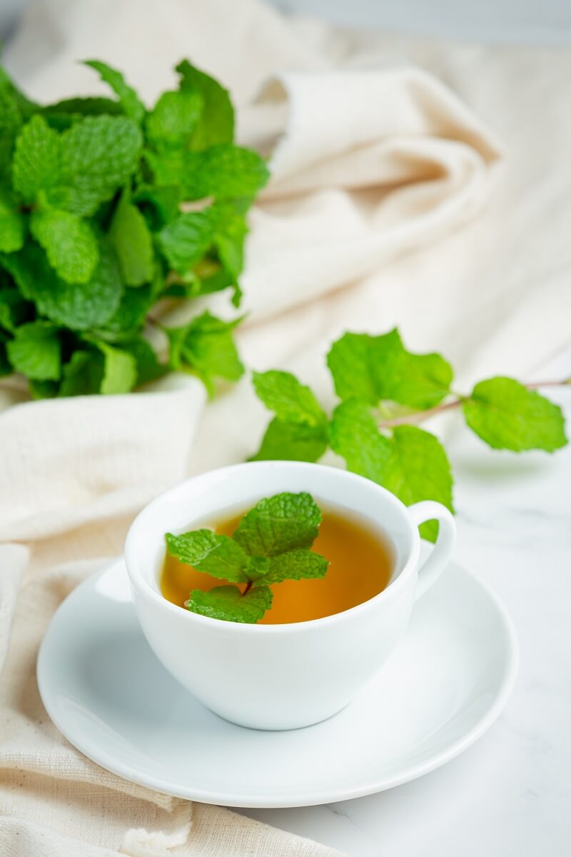 6 herbal teas to lose weight: they burn fat and provide many health benefits