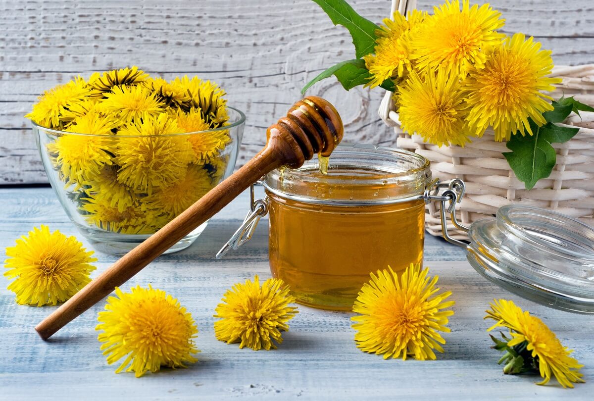 Dandelion syrup: a natural, simple and easy recipe
