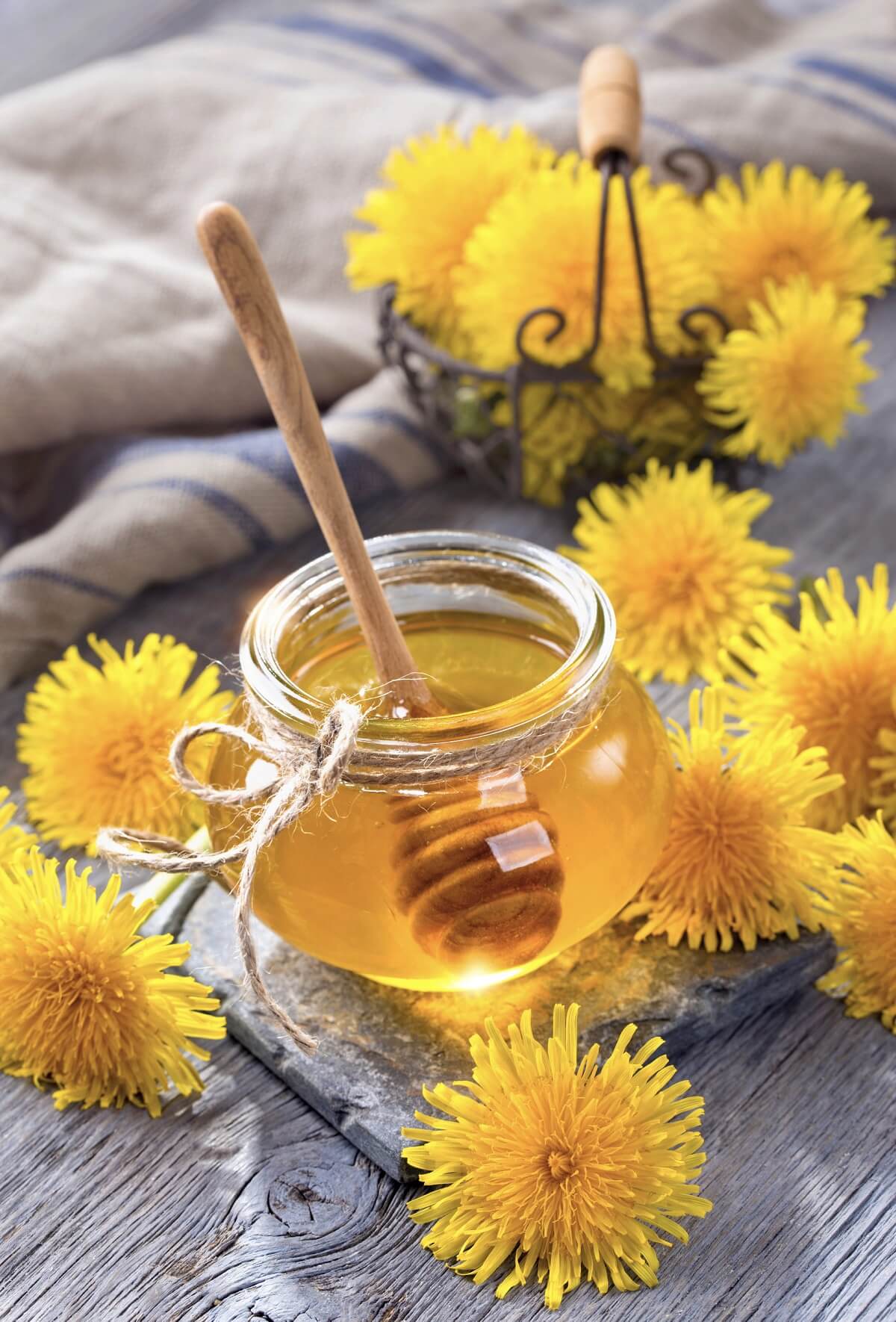Dandelion syrup: a natural, simple and easy recipe