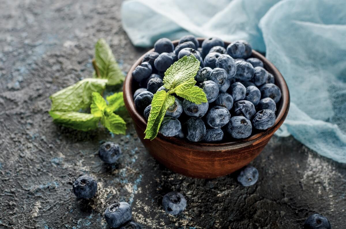 Blueberries, brain health and other beneficial properties